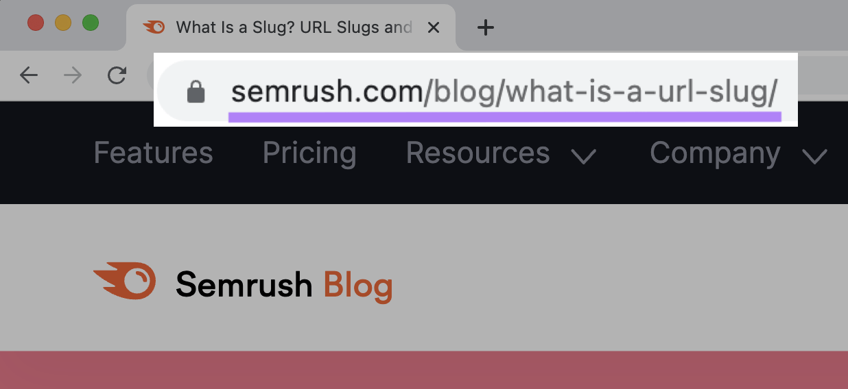 "sr02.sbmm.com.pk/blog/what-is-a-url-slug/" URL
