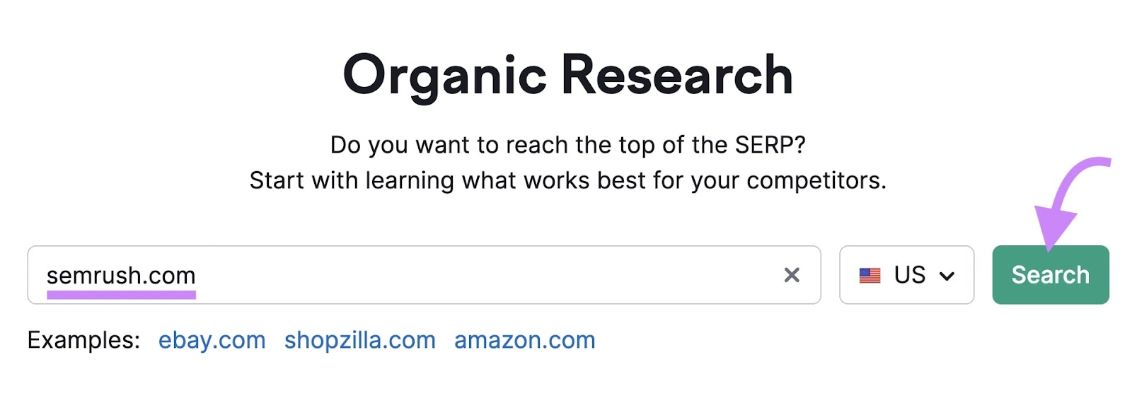 "sr02.sbmm.com.pk" entered into Organic Rankings search bar
